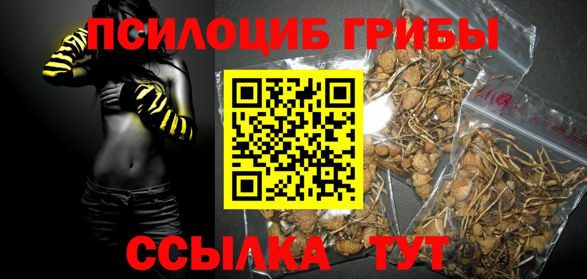 Галлюциногенные грибы Psilocybe  Вход с VPN  Великий Устюг 