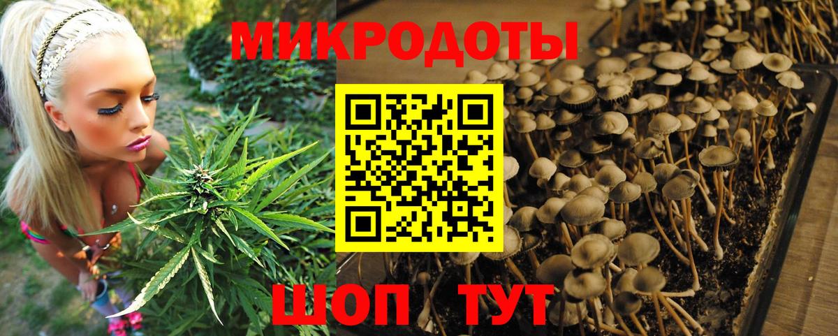 Галлюциногенные грибы Cubensis Великий Устюг